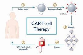 The President of India, Smt Droupadi Murmu, launched India’s First Gene Therapy for Cancer in IIT Bombay